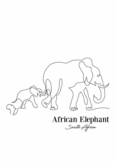 contour elephant silkscreen9